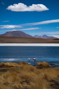 Stärk kroppen med mineraler